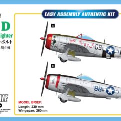 P-47D ThunderBolt